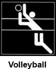icon volley 1
